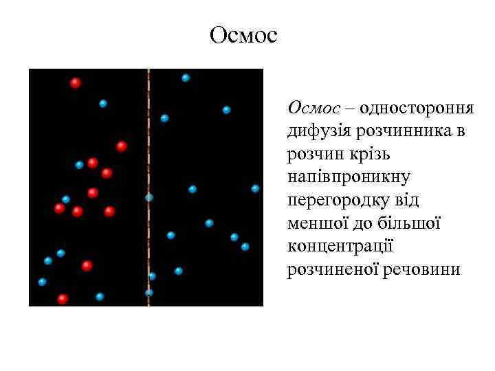 Осмос – одностороння дифузія розчинника в розчин крізь напівпроникну перегородку від меншої до більшої