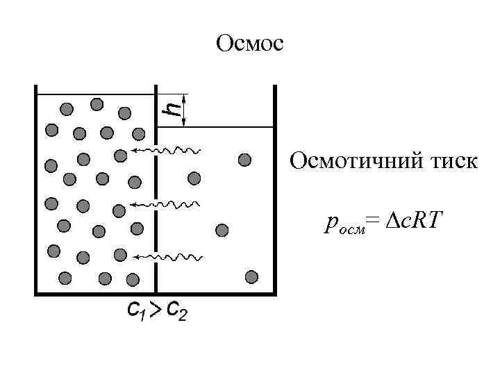 Осмос Осмотичний тиск pосм= Dc. RT 