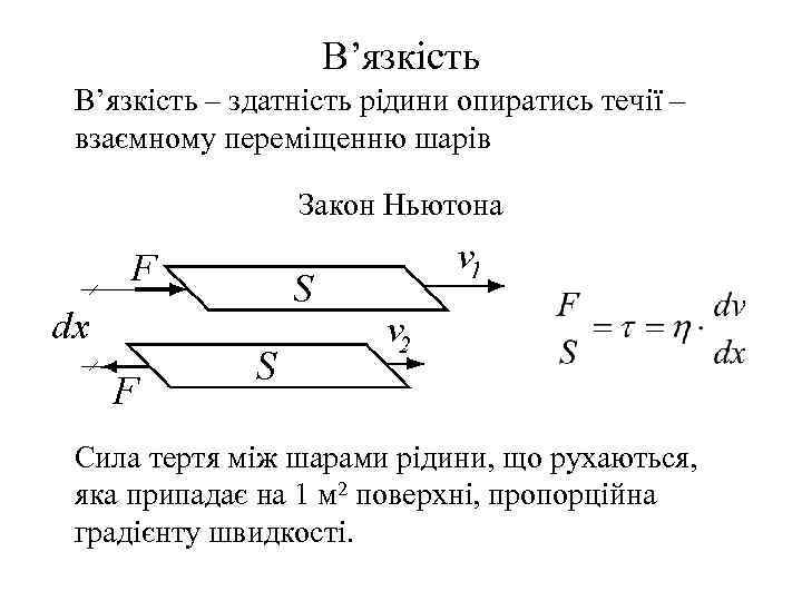 В’язкість – здатність рідини опиратись течії – взаємному переміщенню шарів Закон Ньютона Сила тертя