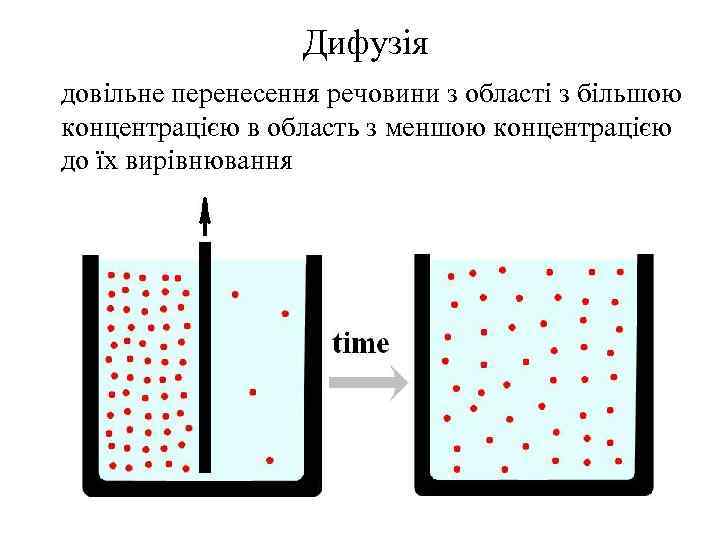 Дифузія довільне перенесення речовини з області з більшою концентрацією в область з меншою концентрацією