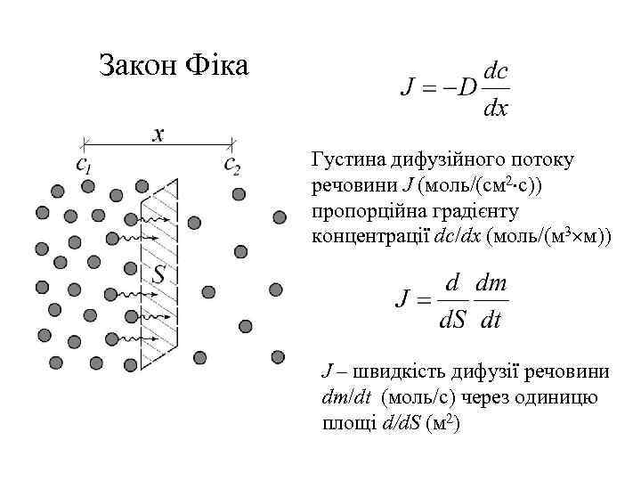 Закон Фіка Густина дифузійного потоку речовини J (моль/(см 2 с)) пропорційна градієнту концентрації dc/dx