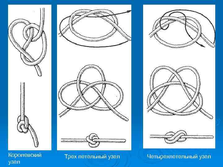 Королевский узел Трех петельный узел Четырехпетельный узел 