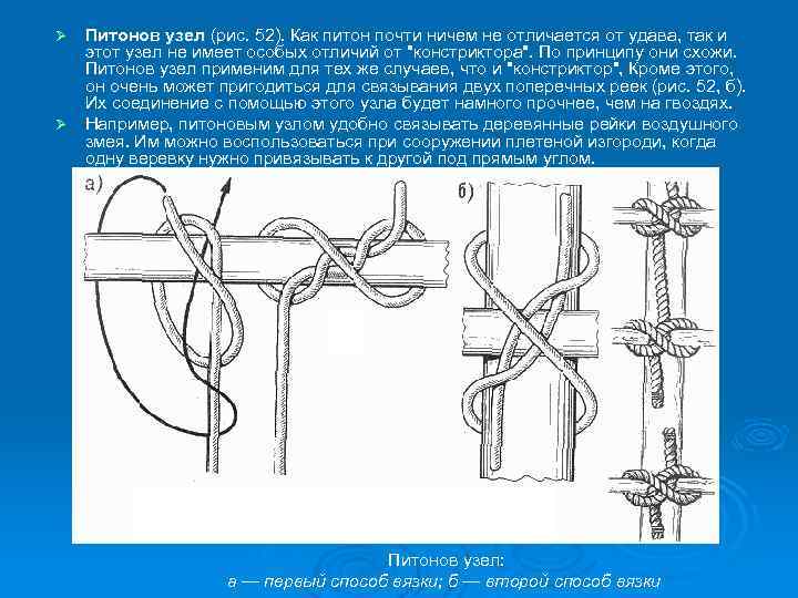 Питонов узел (рис. 52). Как питон почти ничем не отличается от удава, так и