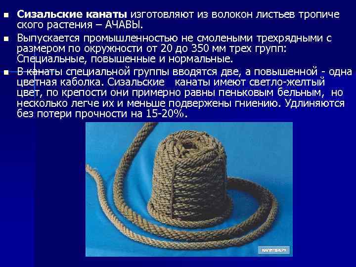 n n n Сизальские канаты изготовляют из волокон листьев тропиче ского растения – АЧАВЫ.