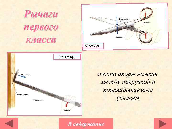 Укажите точку опоры и плечи сил у рычагов изображенных на рисунке ножницы