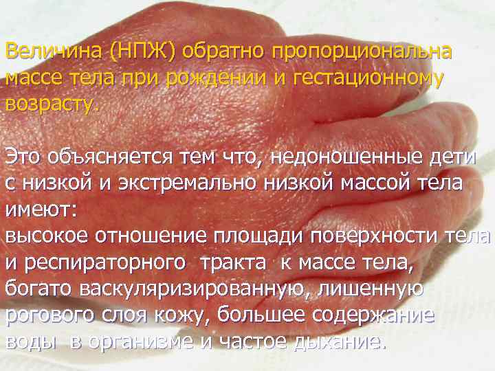 Величина (НПЖ) обратно пропорциональна массе тела при рождении и гестационному возрасту. Это объясняется тем