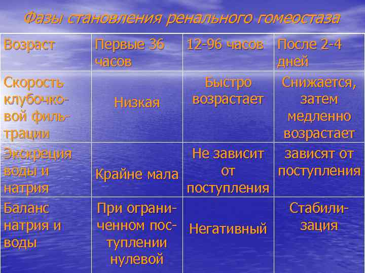 Фазы становления ренального гомеостаза Возраст Скорость клубочковой фильтрации Экскреция воды и натрия Баланс натрия