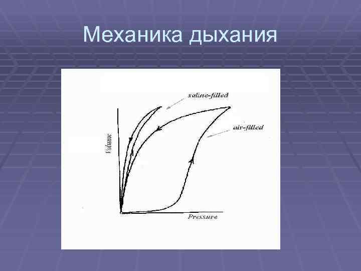 Механика дыхания 