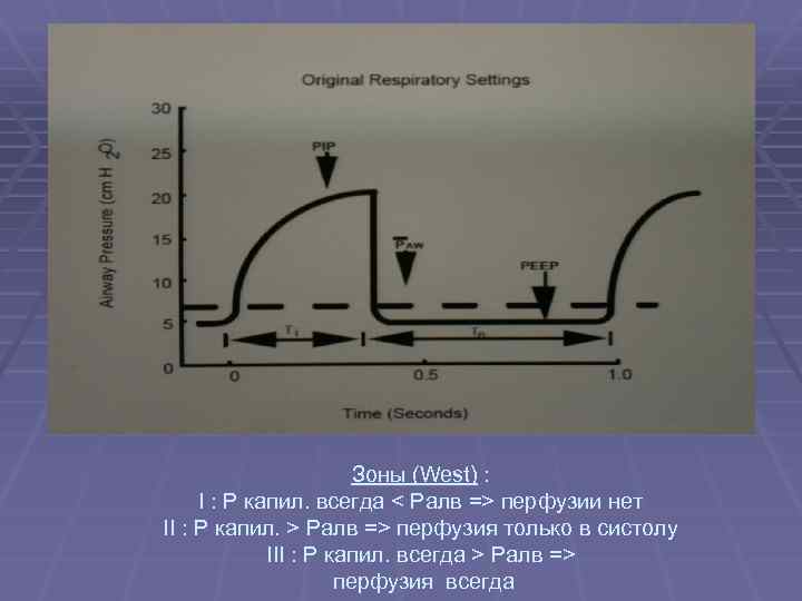 Зоны (West) : I : P капил. всегда < Pалв => перфузии нет II