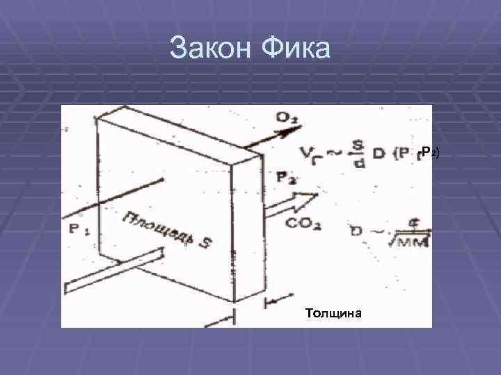 Закон Фика -P 2) Толщина 