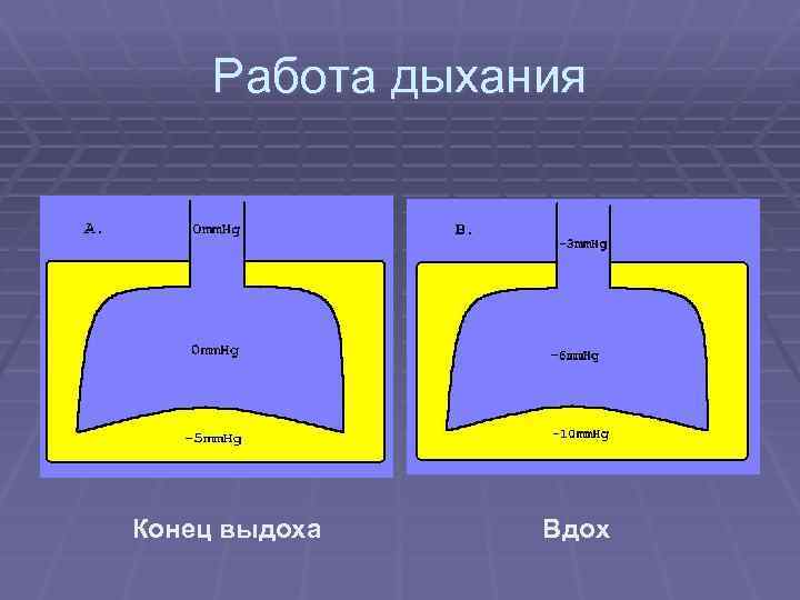 Работа дыхания Конец выдоха Вдох 