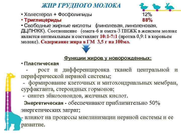 ЖИР ГРУДНОГО МОЛОКА • Холестерол + Фосфолипиды 12% • Триглицериды 88% • Свободные жирные