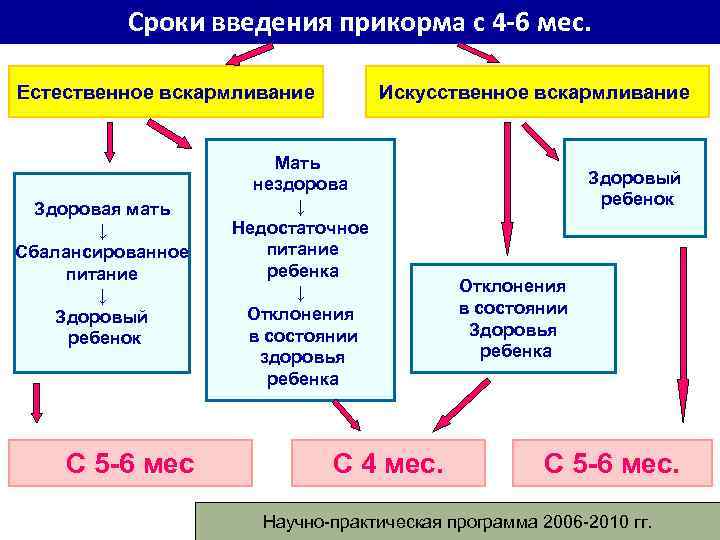 Сроки введения прикорма с 4 -6 мес. Естественное вскармливание Здоровая мать ↓ Сбалансированное питание