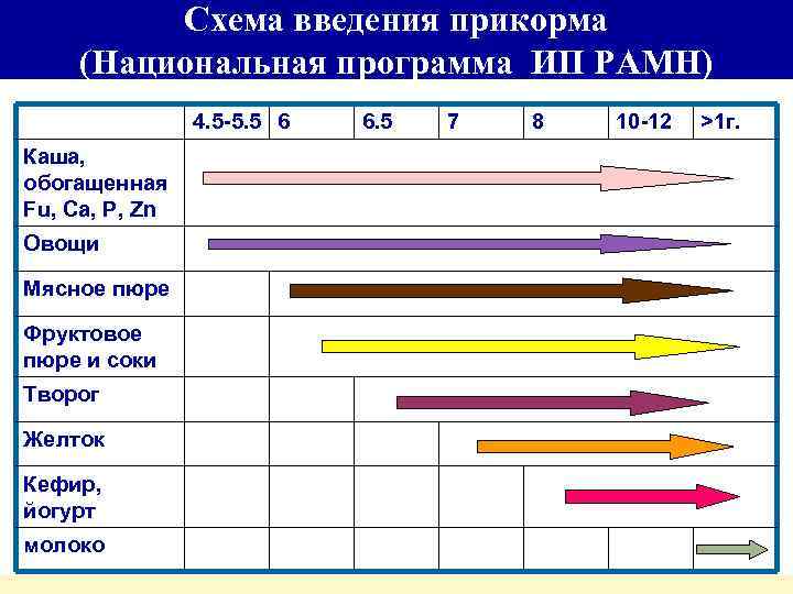 Схема введения прикорма (Национальная программа ИП РАМН) 4. 5 -5. 5 6 Каша, обогащенная