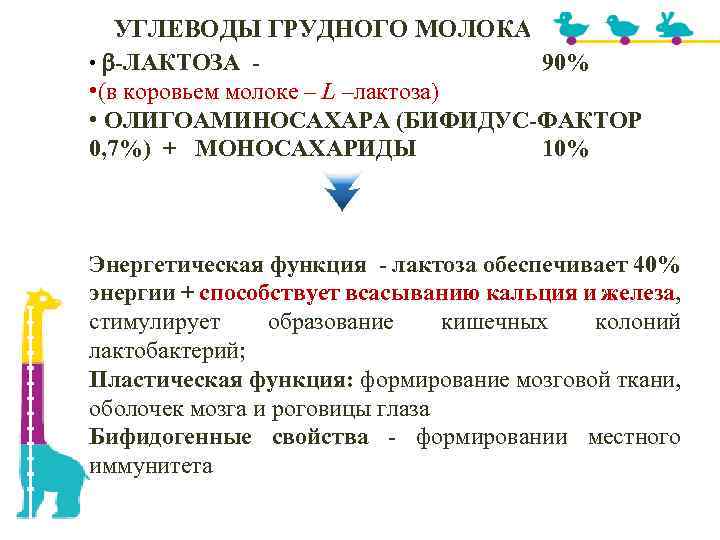 УГЛЕВОДЫ ГРУДНОГО МОЛОКА • -ЛАКТОЗА - 90% • (в коровьем молоке – L –лактоза)