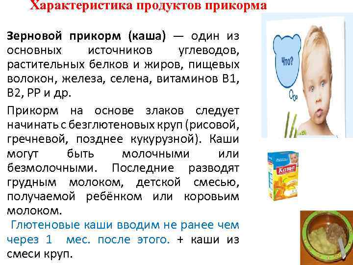 Характеристика продуктов прикорма Зерновой прикорм (каша) — один из основных источников углеводов, растительных белков