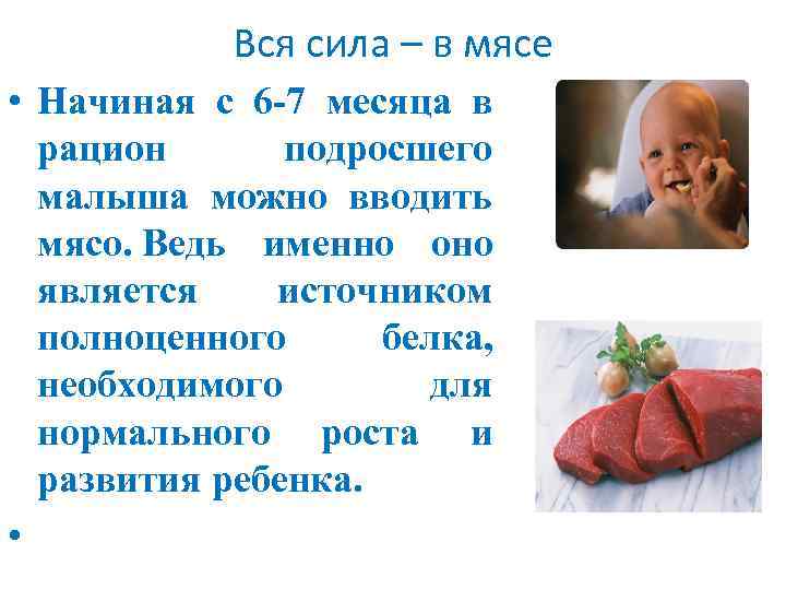 Вся сила – в мясе • Начиная с 6 -7 месяца в рацион подросшего