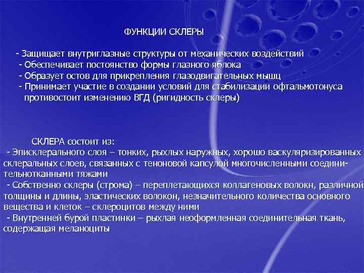 ФУНКЦИИ СКЛЕРЫ - Защищает внутриглазные структуры от механических воздействий - Обеспечивает постоянство формы глазного