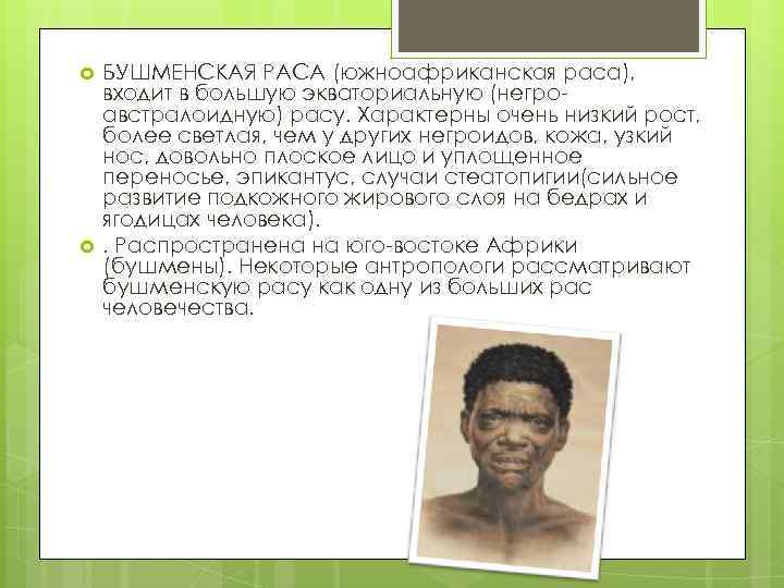  БУШМЕНСКАЯ РАСА (южноафриканская раса), входит в большую экваториальную (негроавстралоидную) расу. Характерны очень низкий