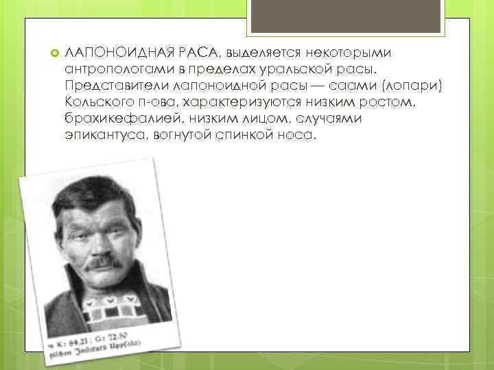  ЛАПОНОИДНАЯ РАСА, выделяется некоторыми антропологами в пределах уральской расы. Представители лапоноидной расы —