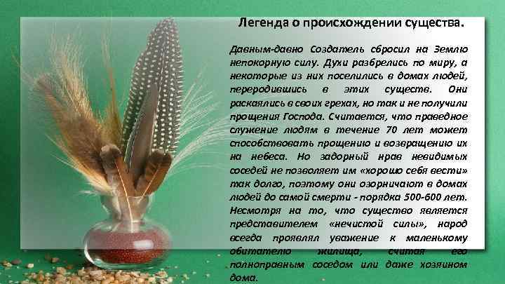 Легенда о происхождении существа. Давным-давно Создатель сбросил на Землю непокорную силу. Духи разбрелись по