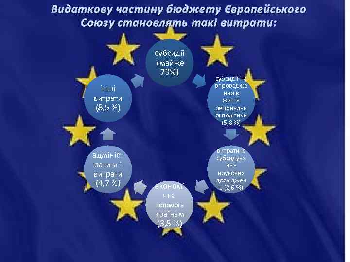 Видаткову частину бюджету Європейського Союзу становлять такі витрати: субсидії (майже 73%) інші витрати (8,