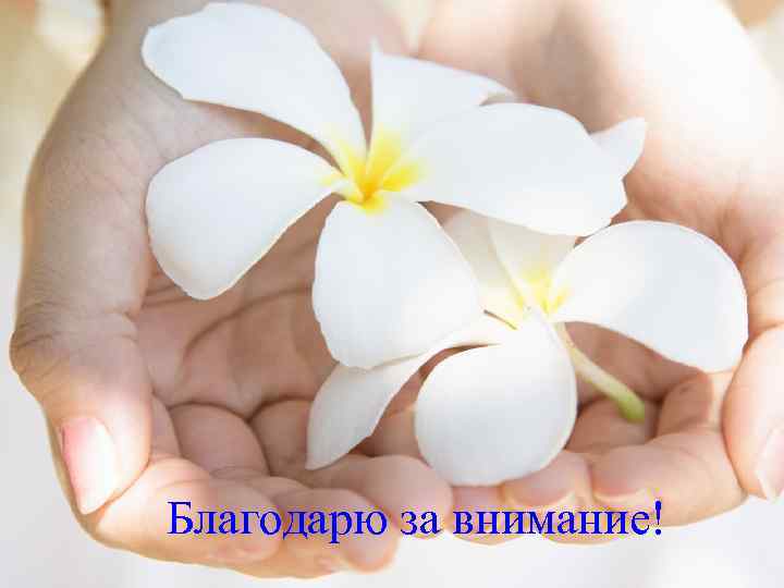 Благодарю за внимание! 