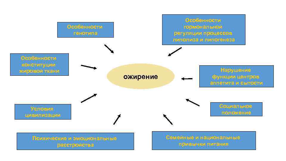 Особенности гормональной регуляции процессов липолиза и липогенеза Особенности генотипа Особенности конституции жировой ткани Условия