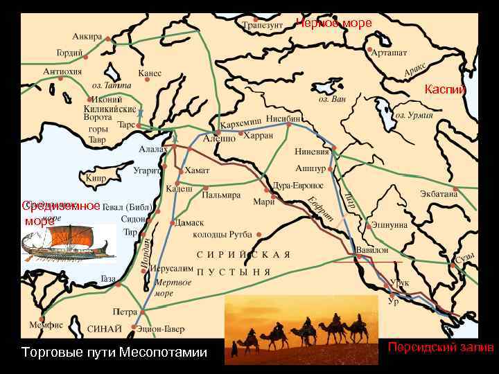Черное море Каспий Средиземное море _____ Торговые пути Месопотамии Персидский залив 