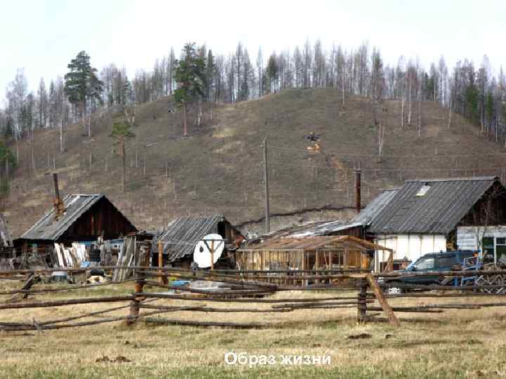 Образ жизни 