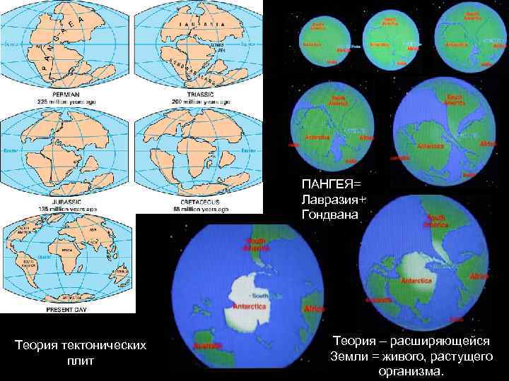 ПАНГЕЯ= Лавразия+ Гондвана Теория тектонических плит Теория – расширяющейся Земли = живого, растущего организма.