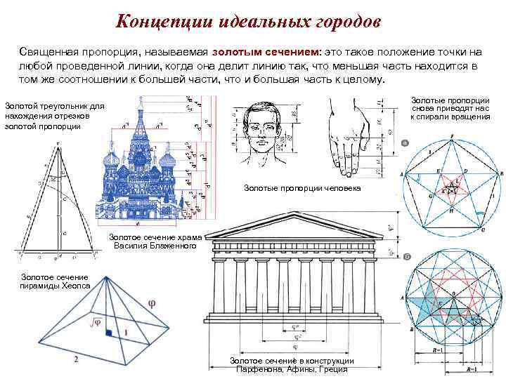 Концепции идеальных городов Священная пропорция, называемая золотым сечением: это такое положение точки на любой