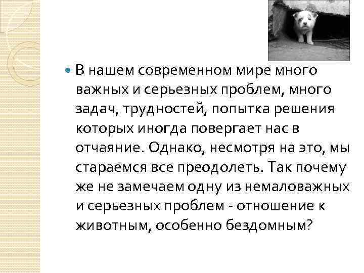  В нашем современном мире много важных и серьезных проблем, много задач, трудностей, попытка