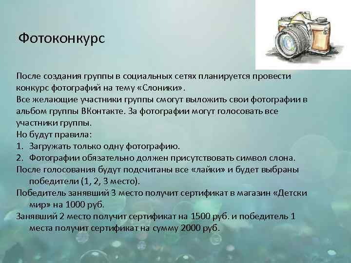 Фотоконкурс После создания группы в социальных сетях планируется провести конкурс фотографий на тему «Слоники»