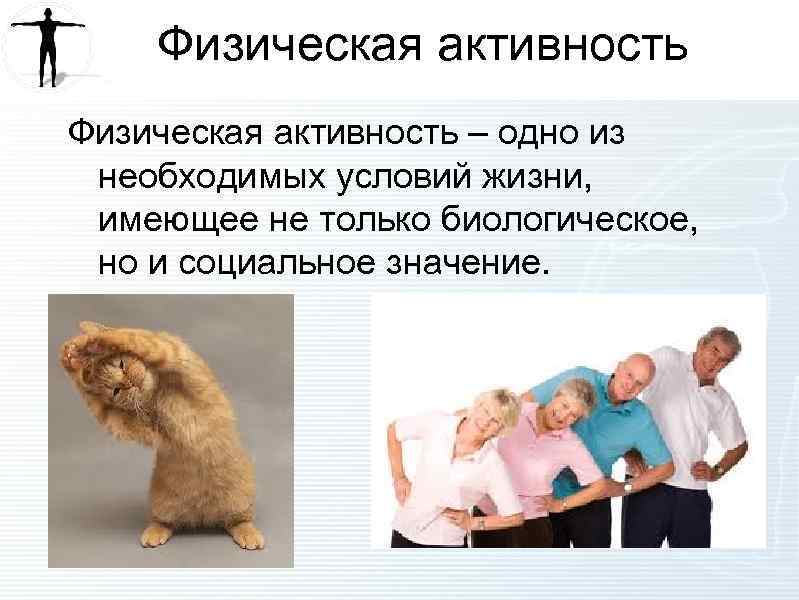 Физическая активность – одно из необходимых условий жизни, имеющее не только биологическое, но и