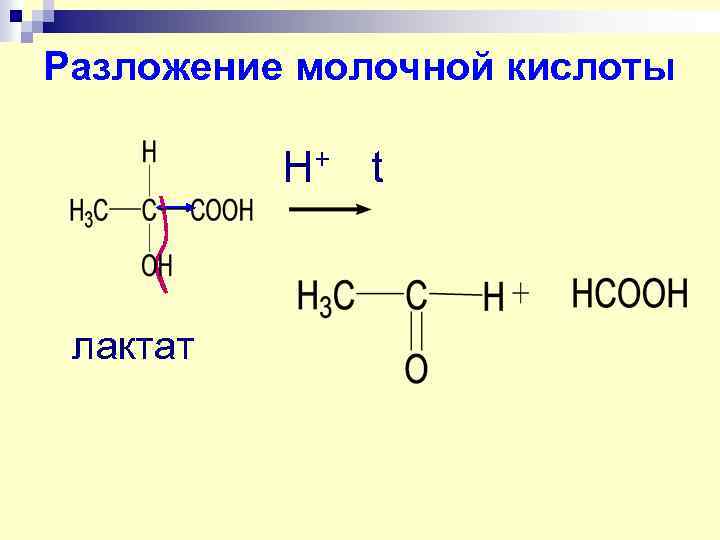 Схема образования лактата