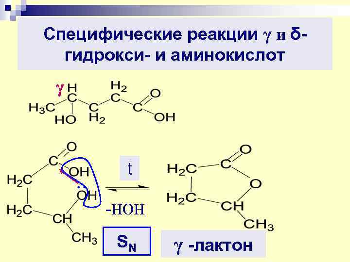 Специфические реакции γ и δгидрокси- и аминокислот γ t -HOH SN γ -лактон 