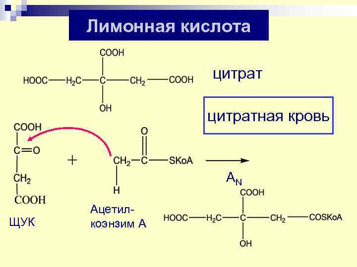 Лимонная кислота цитратная кровь AN ЩУК Ацетилкоэнзим А 