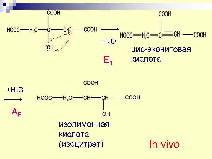 Схема цпэ для изоцитрата