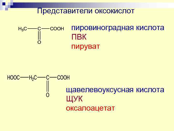 Представители оксокислот пировиноградная кислота ПВК пируват щавелевоуксусная кислота ЩУК оксалоацетат 