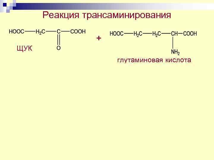 Реакция трансаминирования + ЩУК глутаминовая кислота пиридоксаль фосфат + аспарагиновая кислота α-кетоглу 