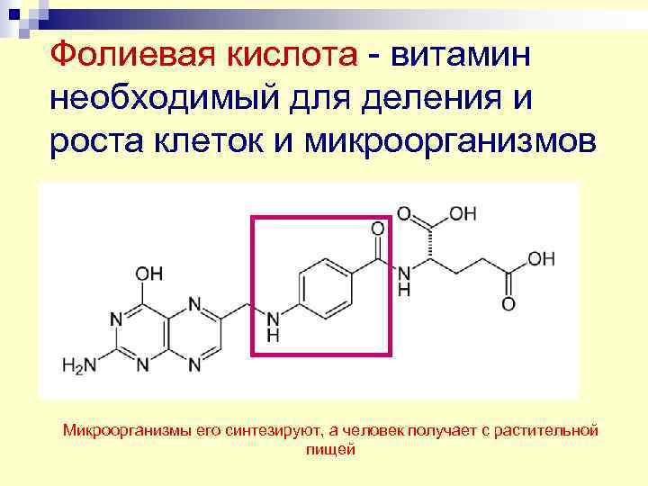 Фолиевая кислота - витамин необходимый для деления и роста клеток и микроорганизмов Микроорганизмы его