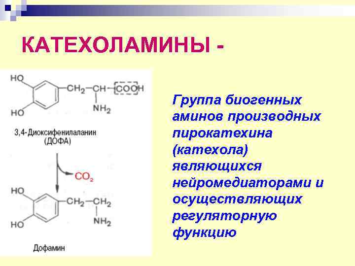 Схема синтеза катехоламинов