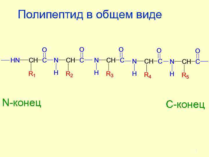 Рисунок с изображением полипептида