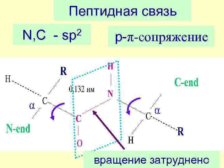 N связь