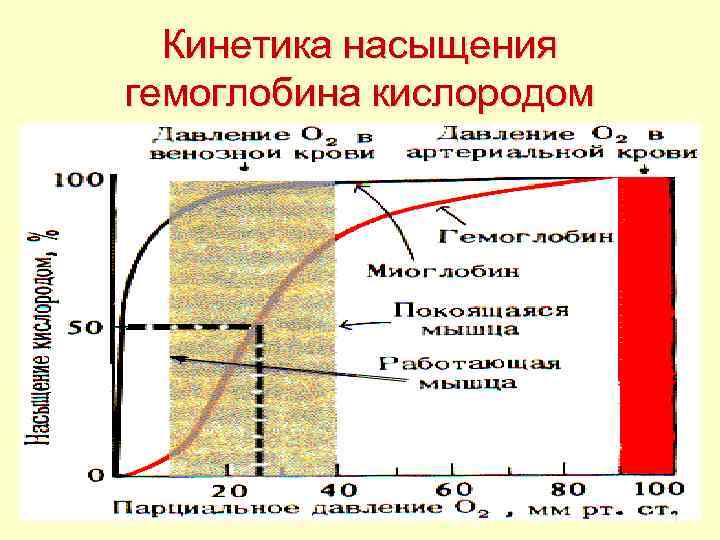 Насыщена кислородом