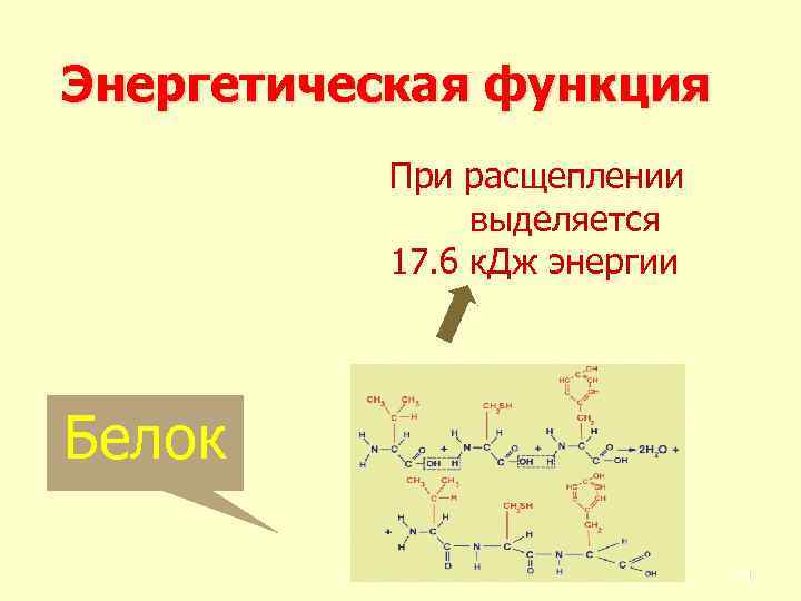 Энергетическая функция белков презентация