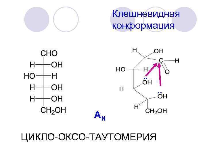 Клешневидная конформация . . AN ЦИКЛО-ОКСО-ТАУТОМЕРИЯ 