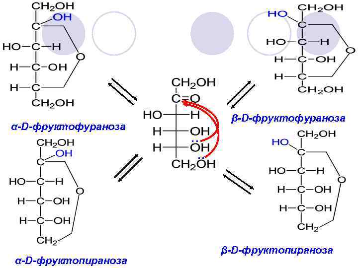 Фруктозамин что это. Этерификация фруктофуранозы. Α-D-фруктофураноза. A D фруктопираноза. Фруктофураноза окисление.