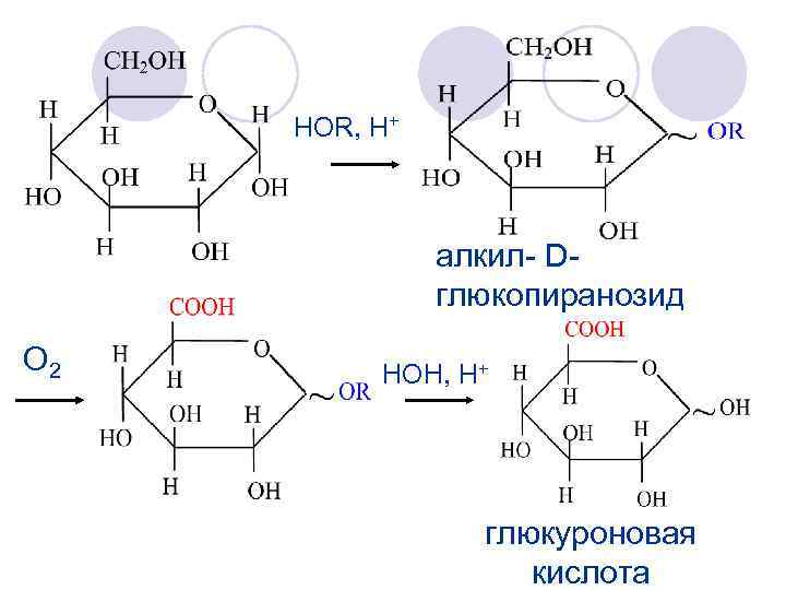 Глюкуроновая кислота для чего. Гликозиды глюкуроновой кислоты. Альфа d – глюкуроновая кислота. Метил a d глюкопиранозид. Бета д глюкуроновая кислота.